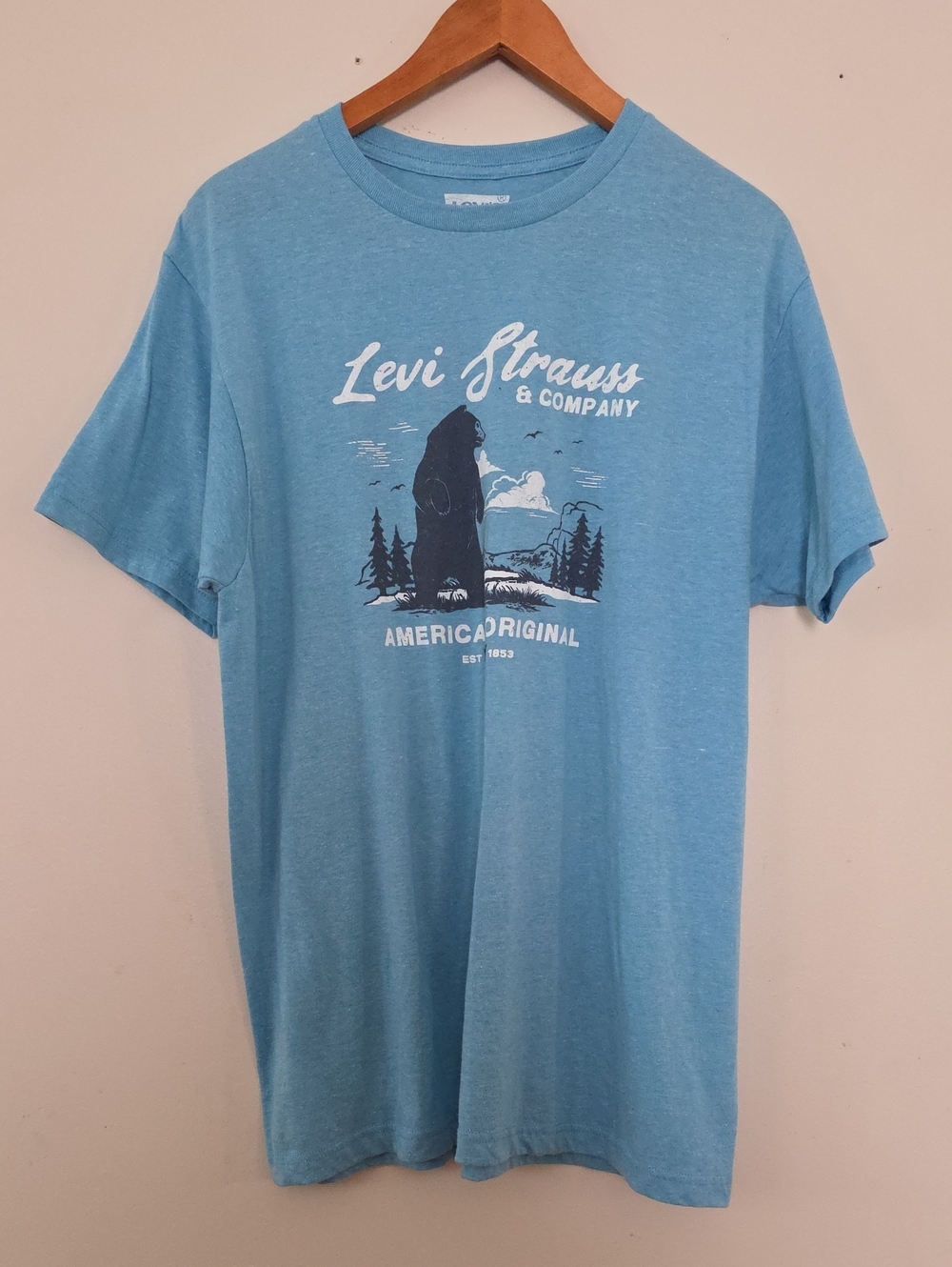 Levi Strauss & Co Blue Mountain Graphic Tee - American Original